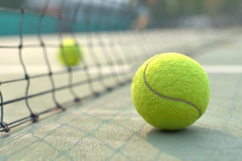 Tennis ball next to net