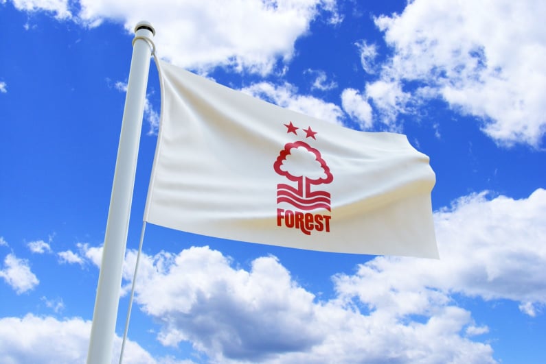 Nottingham Forest flag