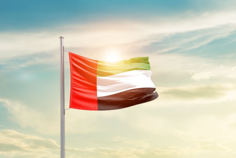 UAE flag