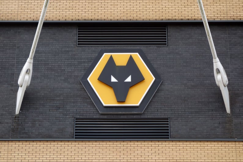 Wolves badge