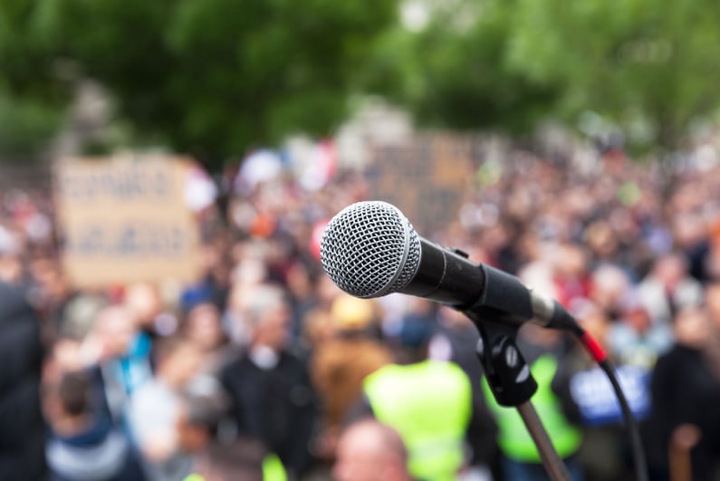 Microphone and rally