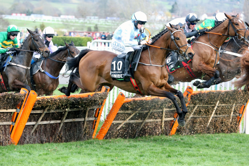 Horse race at Cheltenham racecourse