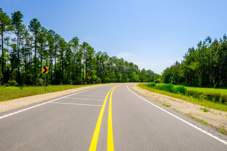 Winding road in Florida