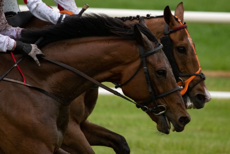 Horses racing