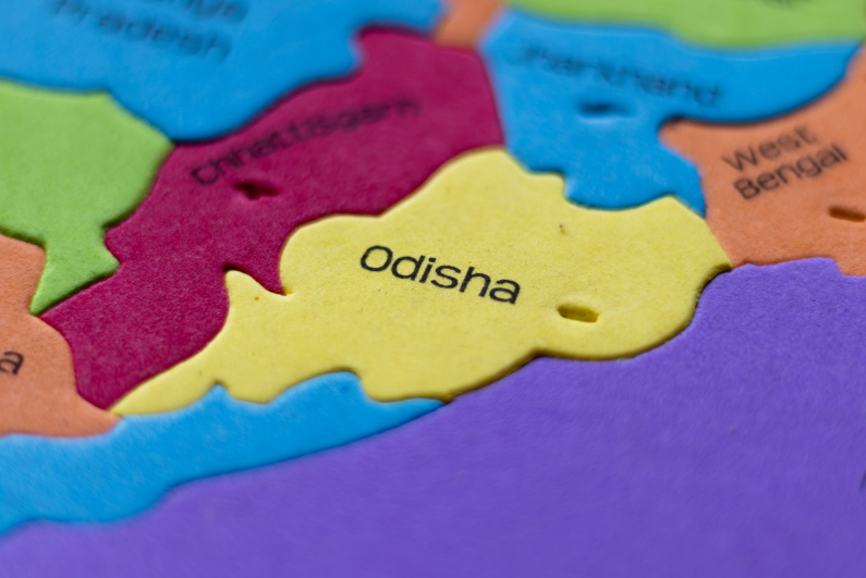 Odisha highlighted on foam puzzle map of India