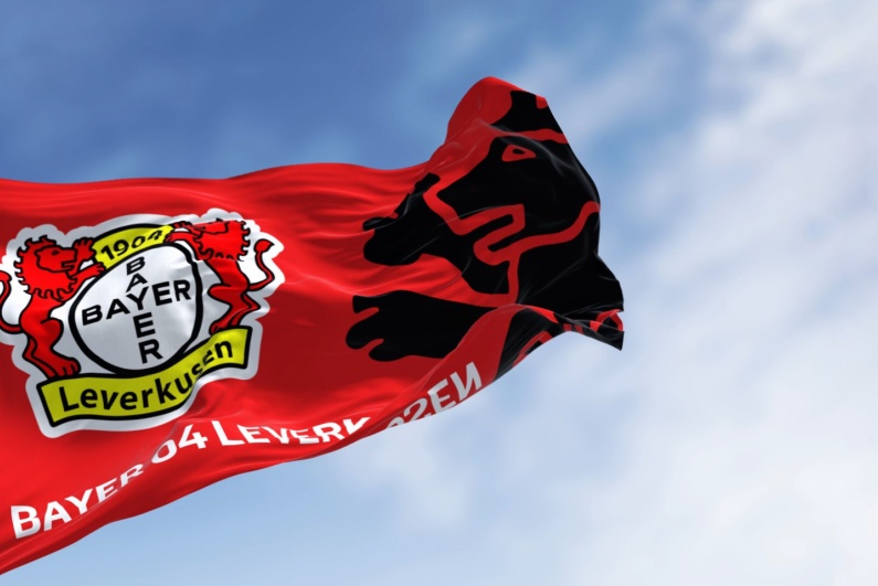Bayer Leverkusen flag