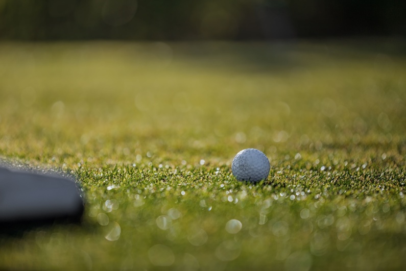 Golf ball on grass