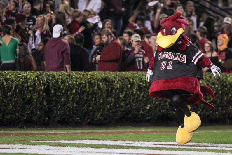 University of South Carolina mascot