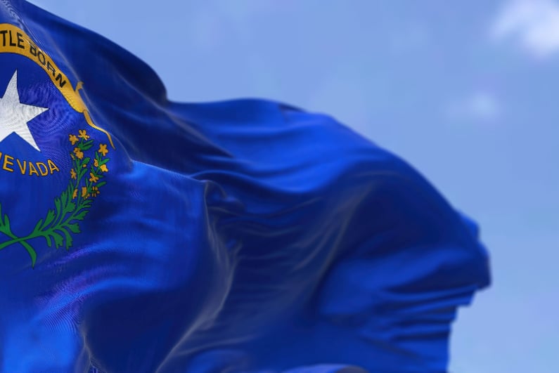 Nevada flag