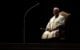 Upset Alert: Betting Markets Stunned at Selection of American as New Pope