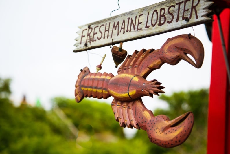 Fresh Maine lobster sign