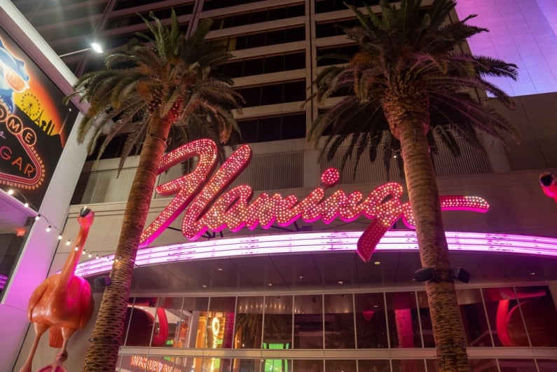 Flamingo