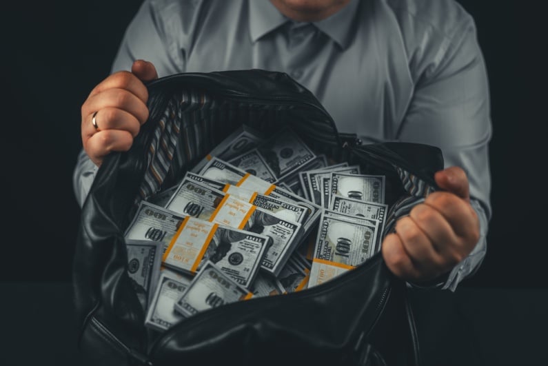 A person with a bag of cash