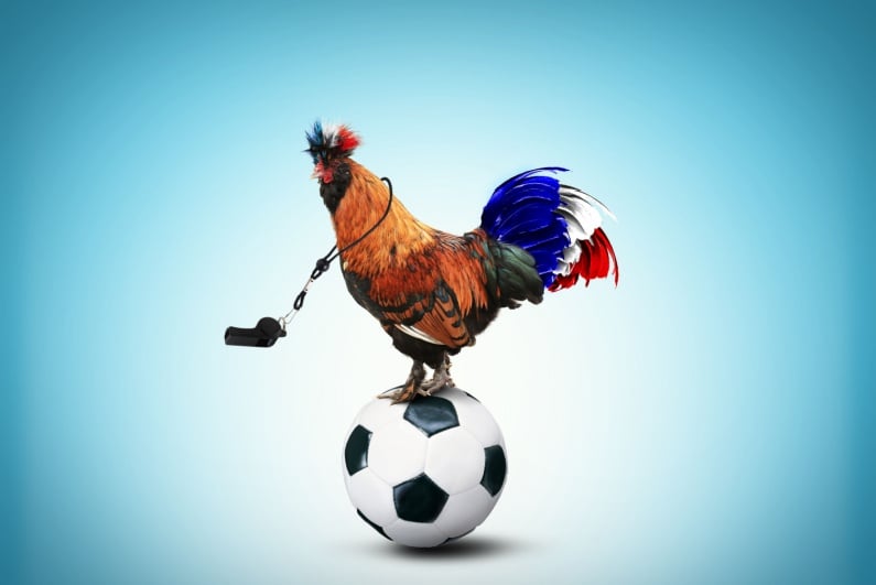 French rooster standing on soccer ball