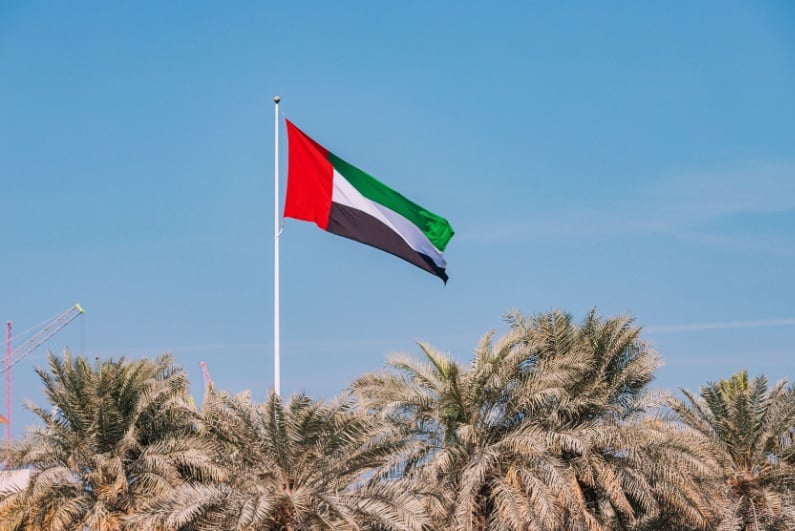 UAE flag