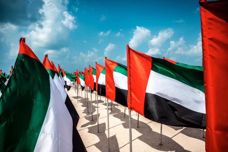UAE flags