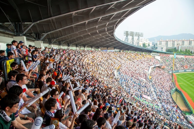 Baseball crowd in South Korea