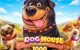 Pragmatic Play Boosts Franchise with The Dog House Megaways 1000