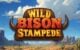 Slotmill Takes Players to the American Prairie in Wild Bison Stampede