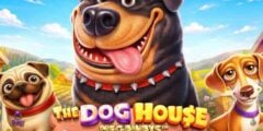 The Dog House
