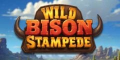 Wild Bison Stampede