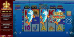 Blueprint Grows Fishin' Frenzy Franchise With Jackpot King Slot